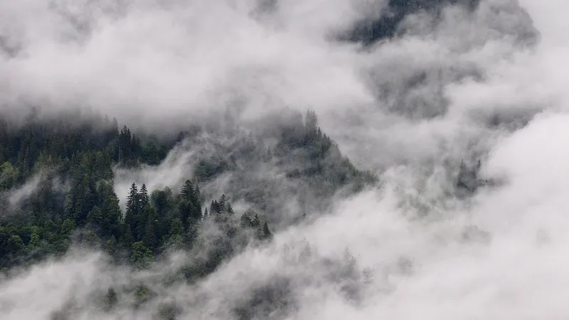 Туман и сильный ветер накроют Казахстан 18 февраля