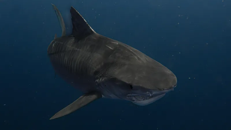 Акулы начали заплывать в глубины Антарктического океана: что произошло
