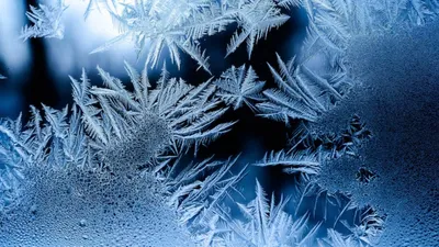 штормовое предупреждение, фото - Новости Zakon.kz от 19.02.2026 20:03