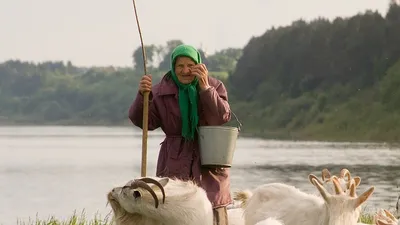 Бабушка, ведро, природа, козы, фото - Новости Zakon.kz от 19.02.2026 07:35