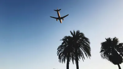 самолет летит в теплые страны, фото - Новости Zakon.kz от 20.02.2026 13:58