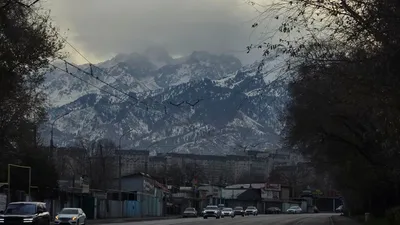 прогноз погоды, фото - Новости Zakon.kz от 20.02.2026 18:18