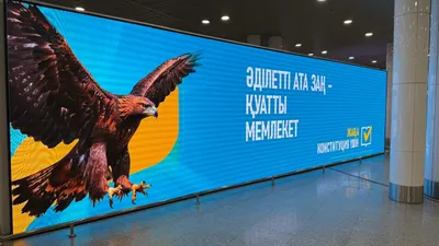 баннер, фото - Новости Zakon.kz от 22.02.2026 13:06