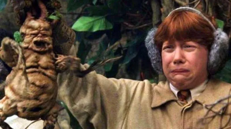 Ученые выяснили, что растения умеют кричать, а насекомые это слышат