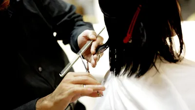 парикмахер, стрижка, фото - Новости Zakon.kz от 23.02.2026 18:30