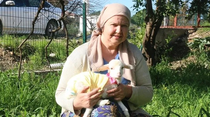 Турчанка стала "мамой" для брошенного козленка