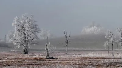 штормовое предупреждение, фото - Новости Zakon.kz от 24.02.2026 20:01