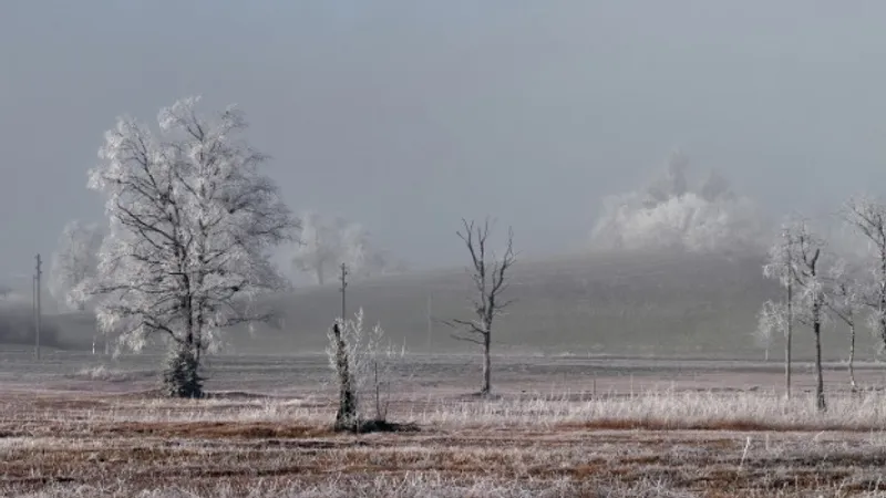 Туман, метель, гололед и дожди: где в Казахстане ухудшится погода в среду