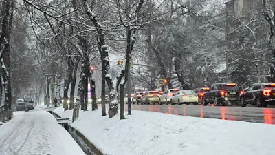 , фото - Новости Zakon.kz от 24.02.2026 17:45