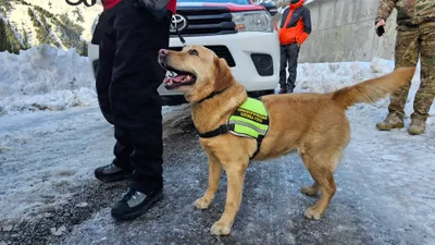 Спасательный отряд, собаки-спасатели, кинологи, спасатели с собаками, спасательный отряд с собаками, фото - Новости Zakon.kz от 05.04.2026 10:04