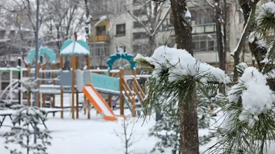 снегопад в Алматы, фото - Новости Zakon.kz от 25.02.2026 17:55