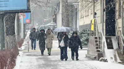 Снег, снегопад, зима, холод, мороз, заморозки, фото - Новости Zakon.kz от 26.02.2026 10:42