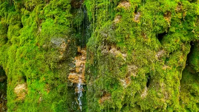 Родник Тамшыбулак, область Жетысу, внутренний туризм, гид по Казахстану, фото - Новости Zakon.kz от 25.02.2026 15:56