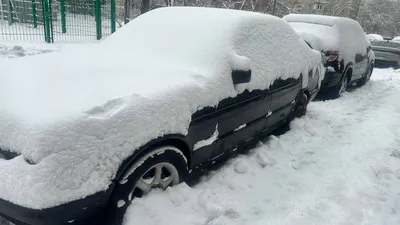 снегопад, снежная буря, снег, Алматы, непогода, фото - Новости Zakon.kz от 25.02.2026 16:59