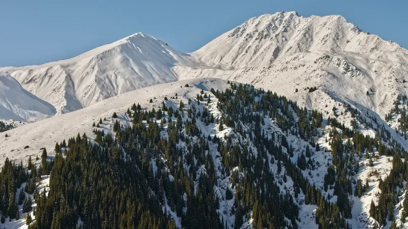 Алматы тауларында бес жасөспірім адасып кетті