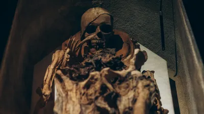 мумия, фото - Новости Zakon.kz от 25.02.2026 14:07