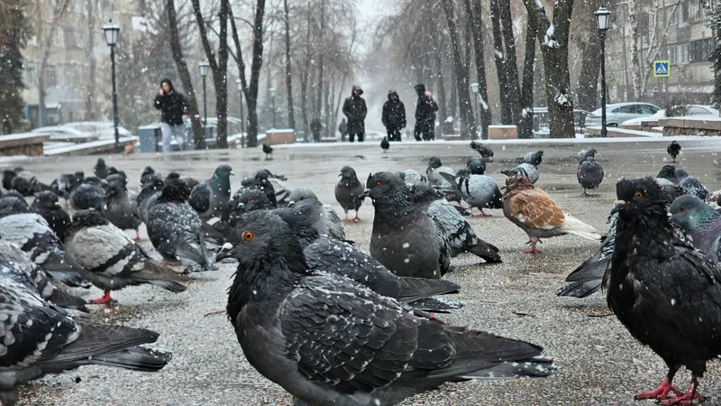 Названы регионы Казахстана, на которые обрушатся сильные морозы до -40°С