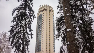 Сахарная пудра и сюрикэны: астанчанина восхитил снег в Алматы, фото - Новости Zakon.kz от 26.02.2026 16:37