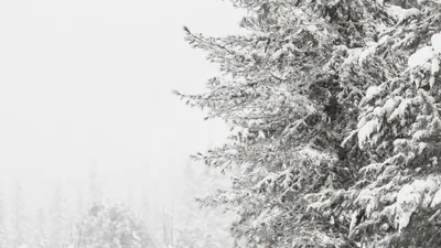 штормовое предупреждение, фото - Новости Zakon.kz от 26.02.2026 20:05