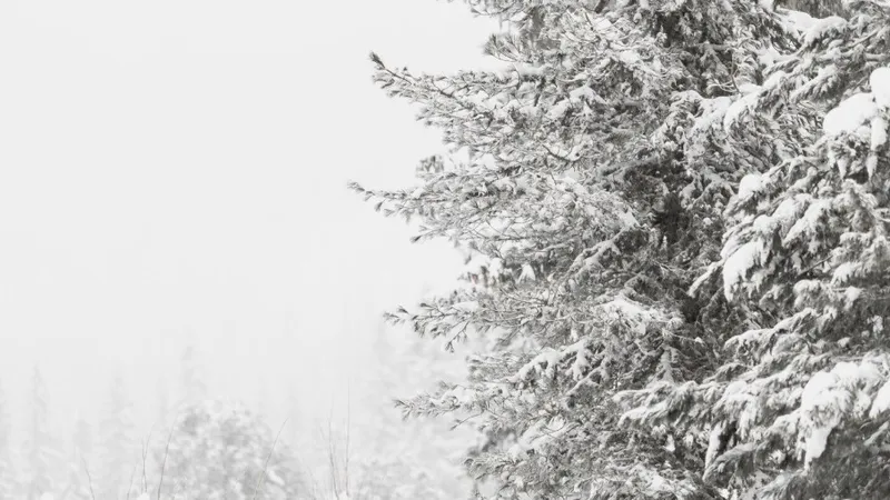 Мороз до -41°С, снегопад и туман: штормовое предупреждение объявили в РК на пятницу