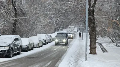 погода в феврале в Алматы, фото - Новости Zakon.kz от 28.02.2026 09:00