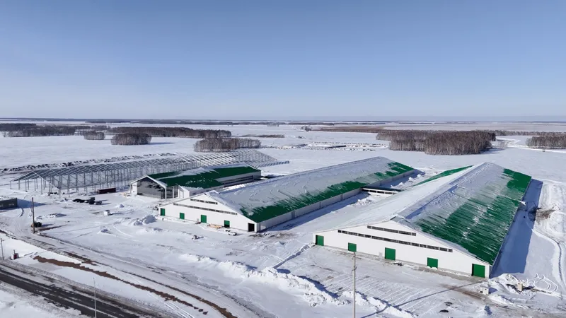 Ответственность за будущее – аграрии СКО поддерживают Конституционную реформу