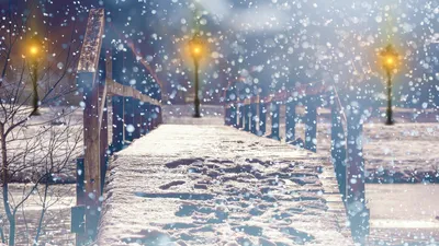 мост, снегопад, фонари, фото - Новости Zakon.kz от 02.03.2026 17:32