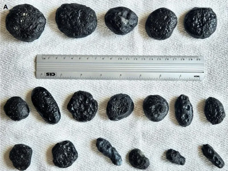 тектиты в Бразилии, фото - Новости Zakon.kz от 02.03.2026 11:16