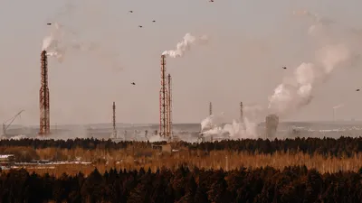 Ученые, исследования, воздух, здоровье , фото - Новости Zakon.kz от 02.03.2026 20:41