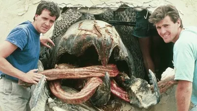 Монстр, люди, фильмы, фото - Новости Zakon.kz от 03.03.2026 08:00