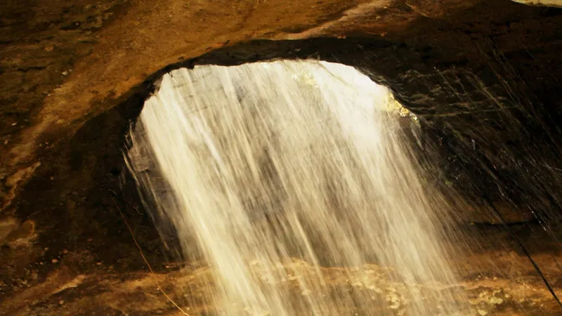 В подземных водах Земли может скрываться бурная жизнь