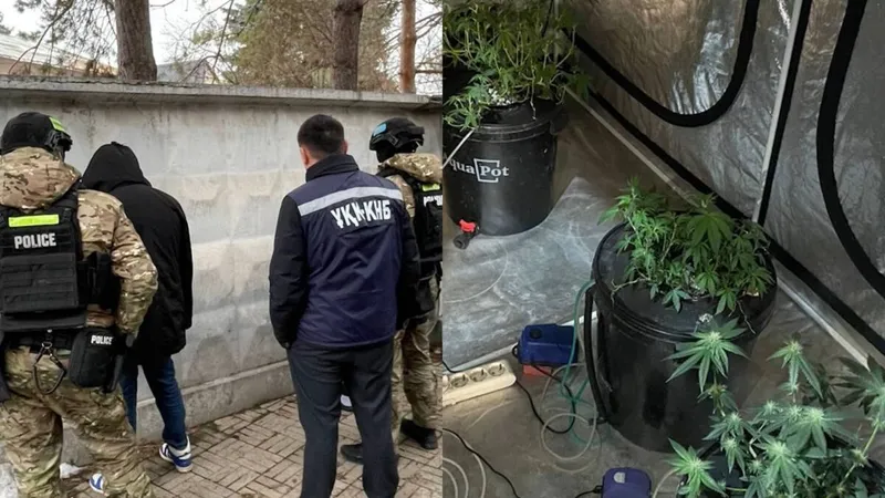 Запах, который выдал тайну: чем обернулась проверка съемной квартиры в Алматы