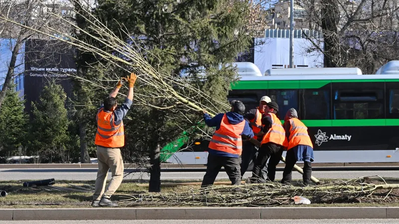 Посадка деревьев, высадка деревьев, высадка саженцев, посадка саженцев, озеленение, саженцы, фото - Новости Zakon.kz от 11.06.2026 08:38