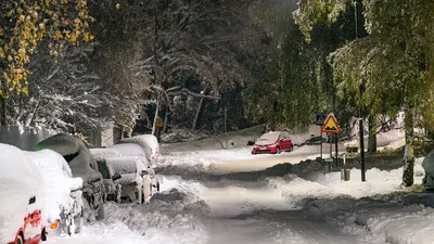 зима, улица, машины, снег, деревья, дорожные знаки, фото - Новости Zakon.kz от 05.03.2026 18:07