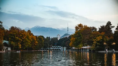 , фото - Новости Zakon.kz от 06.10.2026 17:17