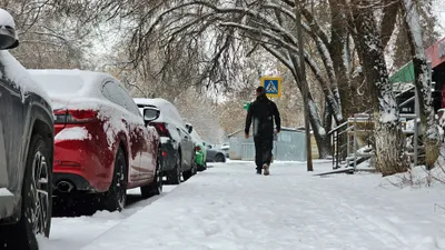 снегопады в маре в Алматы, фото - Новости Zakon.kz от 06.03.2026 17:41