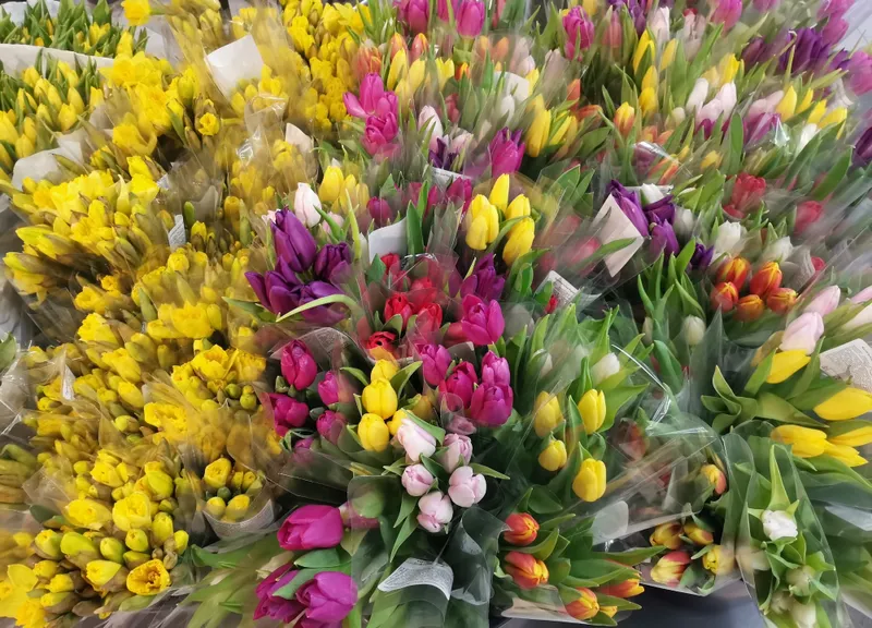 Где купить дешевые тюльпаны в Алматы и как проявить оригинальность с цветами
