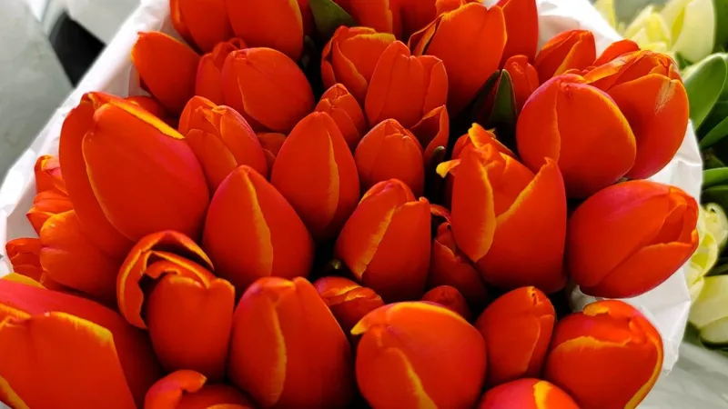 Мыльные букеты как живые: тренд Талдыкоргана, советы флориста и цветочный бум в Костанае и Павлодаре