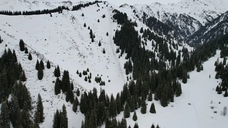 Спасатели Алматы призвали воздержаться от похода в горы