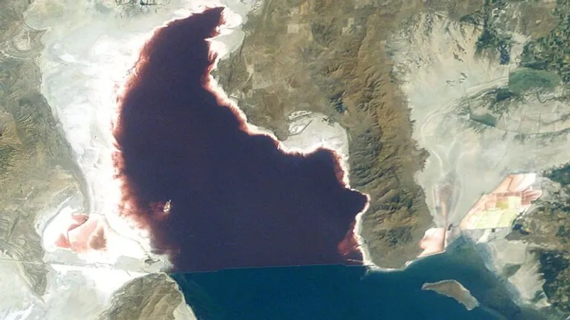 Ученые нашли необычных существ там, где это невозможно