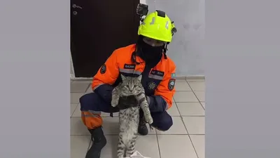 Неожиданная операция МЧС в Астане: кого доставали из электрощитовой