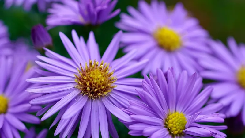 День неожиданных поворотов: гороскоп на 8 марта