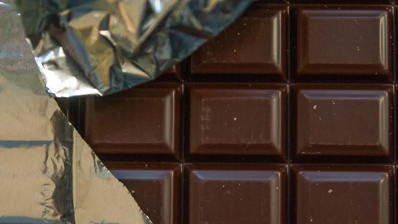 Искусственный шоколад вырастили в лаборатории бельгийские ученые