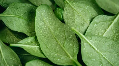 , фото - Новости Zakon.kz от 08.03.2026 17:27