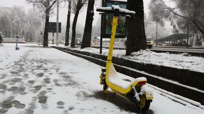 Правила учета и нумерации электросамокатов в прокате вводятся в Казахстане, фото - Новости Zakon.kz от 10.03.2026 20:29