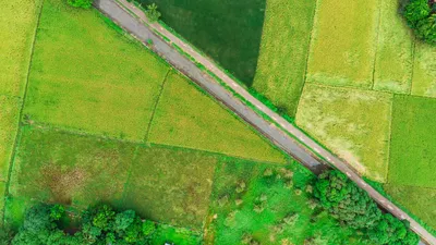 дорога через поле, фото - Новости Zakon.kz от 10.03.2026 11:57