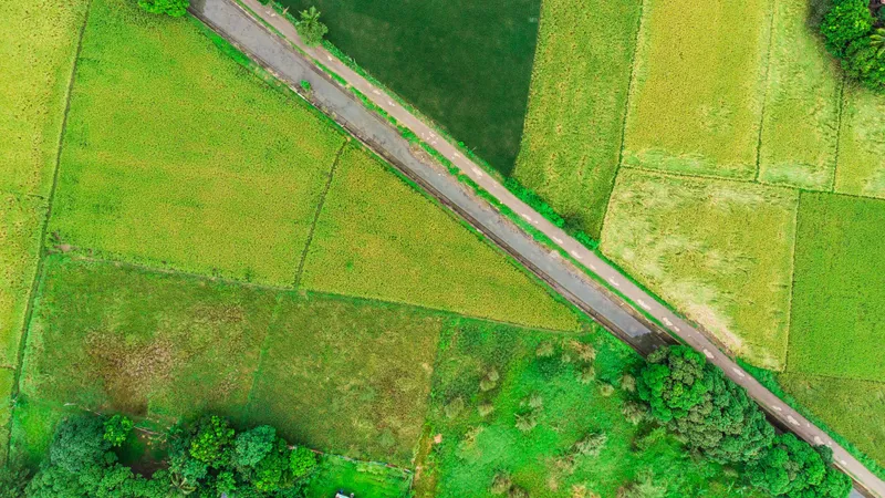 Власти Шымкента бесплатно забрали у мужчины землю за 83,5 млн тенге под дорогу: что решил суд