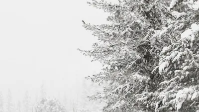 штормовое предупреждение, фото - Новости Zakon.kz от 10.03.2026 19:58