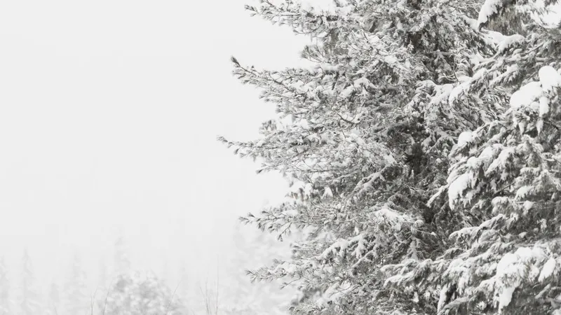 Казахстанцев предупредили о метелях и ураганном ветре в среду