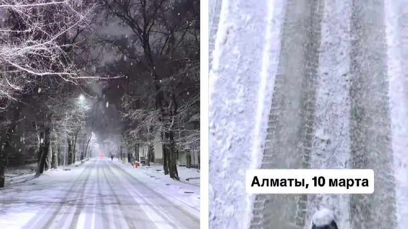 Причуды природы в Алматы: атмосферное видео впечатлило казахстанцев